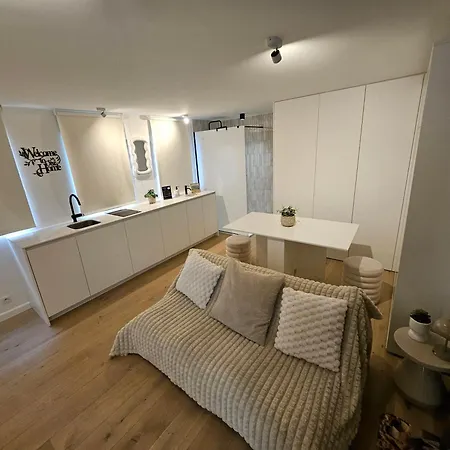 Appartement Wayqup Met Groot Terras Ostende